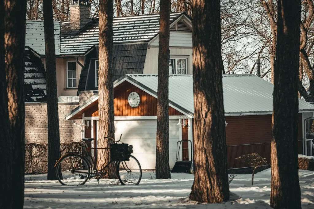 Wycinka drzew Wrocław